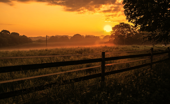 Nebel zerstreut / ***