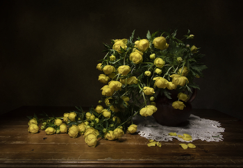 Globe-Blume / ***