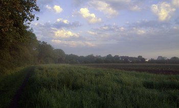 gentle morning / ***