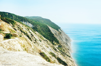 Bald Mountain / ***