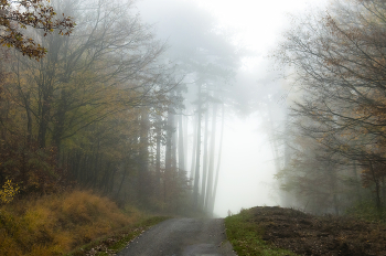 Morning running / ...