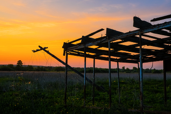 Field / ***