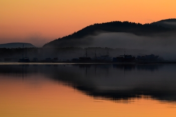 Nebliger Morgen / ***