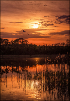 Deep Shadows / Orange sunset sky in clouds with reflections in the lake