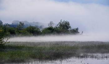 Morgennebel. / ***