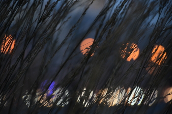 Evening sketch / ***