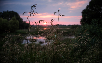 July morning / ***