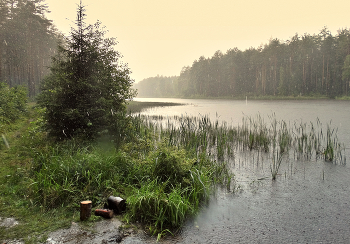 rain and sun / ***