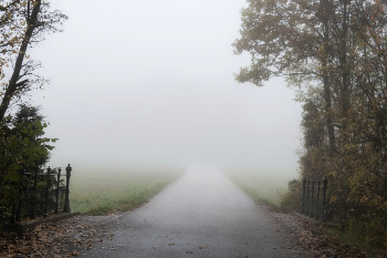 Straße zum Herbst / ***