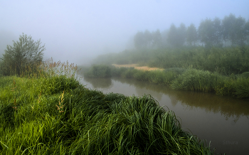 Nebel / ***