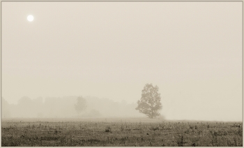 Die Ruhe / ....