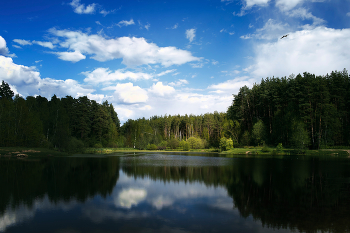 At the lake in the woods / ***