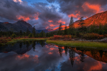 Herbstfarben ... / ***