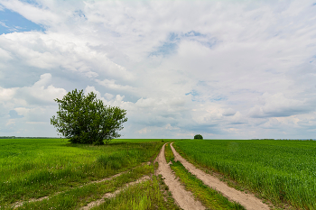 Freiflächen / ***