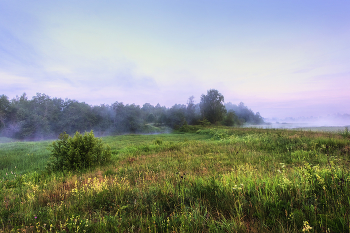 In the hour before dawn / ***