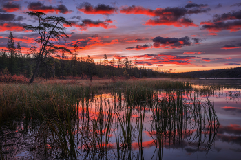 At dawn / ***