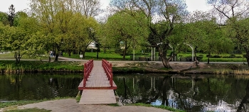 Walk in the Park / ***