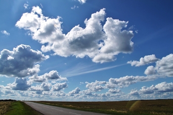 Road / ***