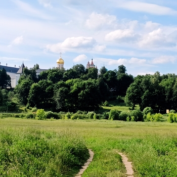 Golf, Russian field ... / ***