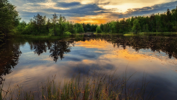 Dusk / ***