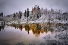 The first snow ... / ***