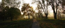 vosenskaya Morning / ........