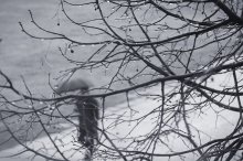 Bad weather / ***