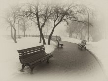 City Morning / ***