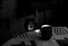 Sakharkov would ... / ***