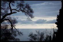 Crimean mood / ***