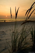 Along the Sea / ***