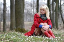 Spring in the woods / ***
