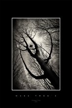 Dark TREE`z *2 / ***