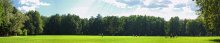 in the meadow / ***