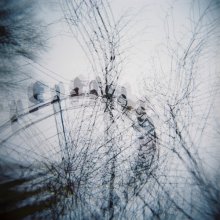 centre / /dead flowers/