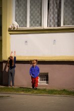 Die Jungen und / ***