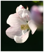 On the joys of spring. / ***
