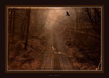 Mysteries of the old park ... / 2009 NY Woodhaven