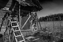 House in the village / ***