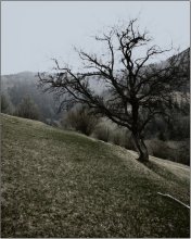 On the slopes of the mountains ... / ..................