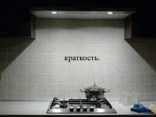 brevity. / ***