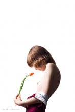 Tulip / *****