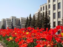 Minsk spring. / ***