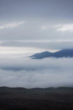 im Nebel / ***