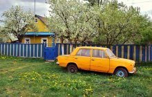 Es lebe die Ukraine! / ***