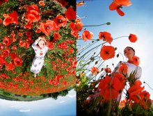 Poppy Welt / ***