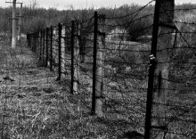 Freedom?... / *****