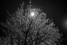 Eis und Holz / ***
