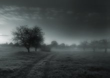 Morning walks / ***