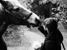 familiarity / ***